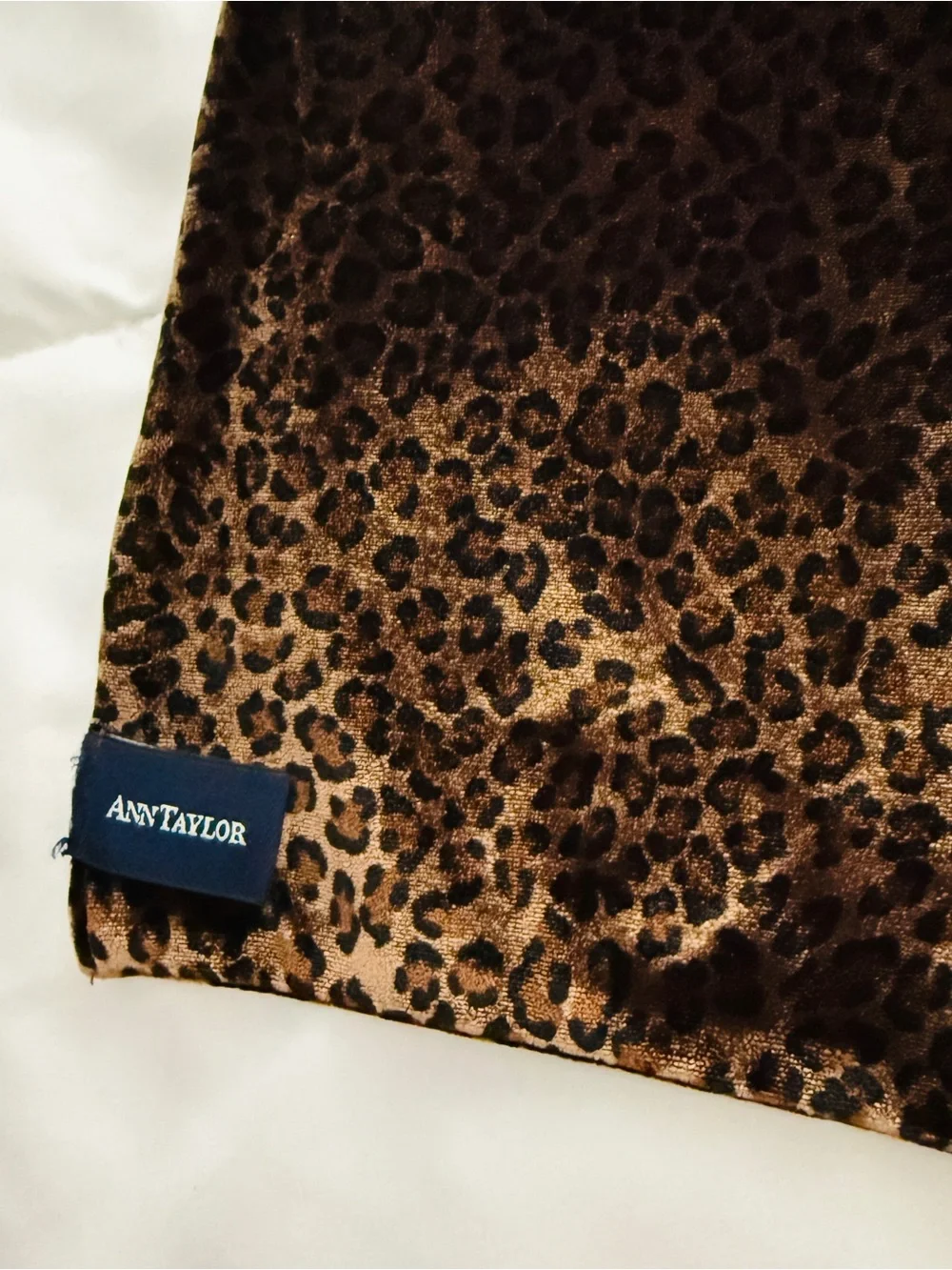 Ann Taylor Leopard Print Kids scarf - Brown